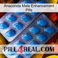 Anaconda Male Enhancement Pills viagra2